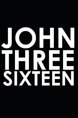 Book cover for John Three Sixteen