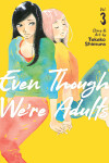 Book cover for Even Though We're Adults Vol. 3
