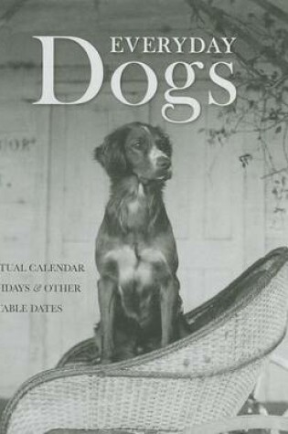 Cover of Everyday Dogs