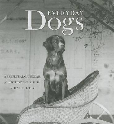 Book cover for Everyday Dogs