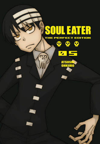 Book cover for Soul Eater: The Perfect Edition 5