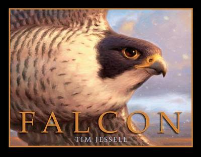 Book cover for Falcon