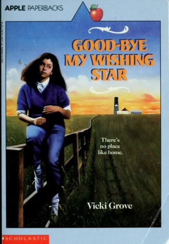 Book cover for Goodbye Wishing Star