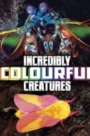 Cover of Incredibly Colourful Creatures