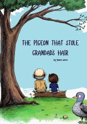 Book cover for The Pigeon That Stole Grandads Hair