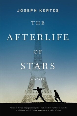 Cover of The Afterlife of Stars