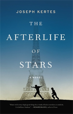 Book cover for The Afterlife of Stars