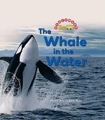 Book cover for The Whale in the Water