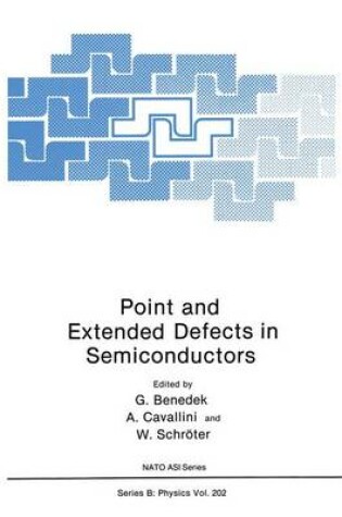 Cover of Point and Extended Defects in Semiconductors