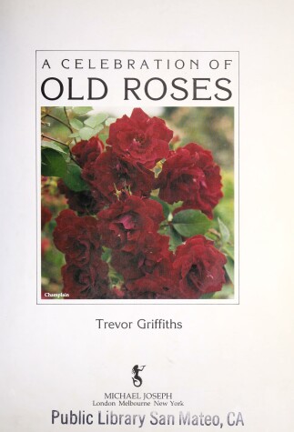 Book cover for A Celebration of Old Roses