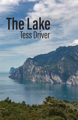 Book cover for The Lake