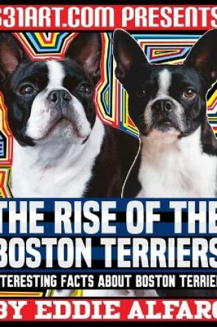 Cover of The Rise of the Boston Terriers