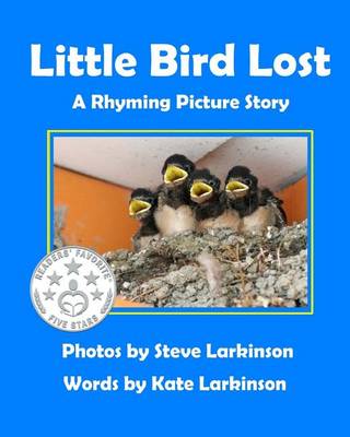 Book cover for Little Bird Lost