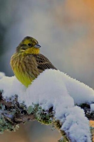 Cover of Yellowhammer Male Bird in Winter on Snowy Branch Journal