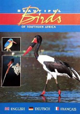 Cover of Beautiful Birds of Southern Africa