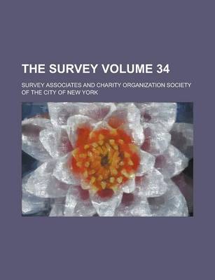 Book cover for The Survey Volume 34