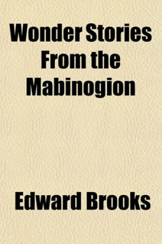 Cover of Wonder Stories from the Mabinogion