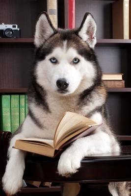 Book cover for Siberian Husky Reading a Book Journal