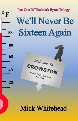 Book cover for We'll Never Be Sixteen Again