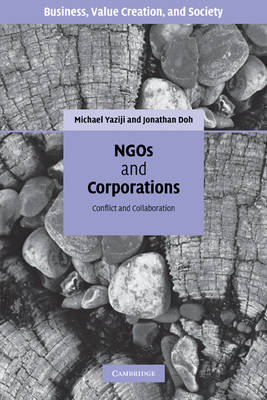 Book cover for NGOs and Corporations