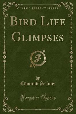 Book cover for Bird Life Glimpses (Classic Reprint)