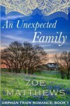 Book cover for An Unexpected Family