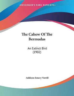 Book cover for The Cahow Of The Bermudas