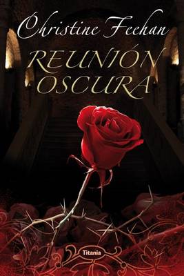 Book cover for Reunion Oscura