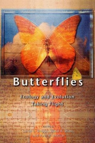 Cover of Butterflies