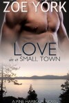 Book cover for Love in a Small Town
