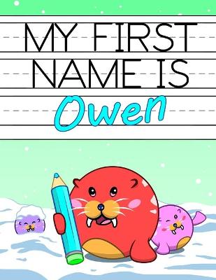 Book cover for My First Name is Owen
