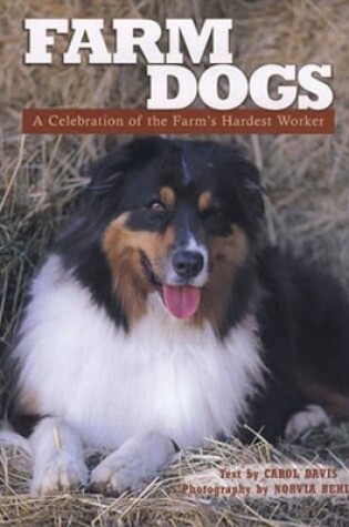 Cover of Farm Dogs