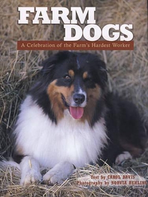 Book cover for Farm Dogs