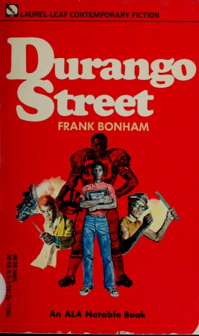 Book cover for Durango Street