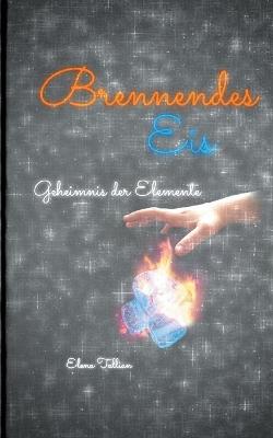 Cover of Brennendes Eis