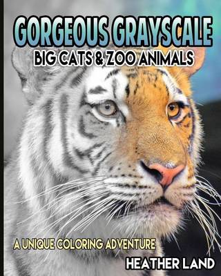 Book cover for Gorgeous Grayscale