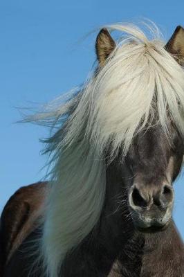 Book cover for A Beautiful Icelandic Horse Journal