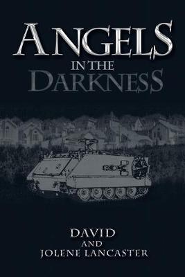 Book cover for Angels in the Darkness