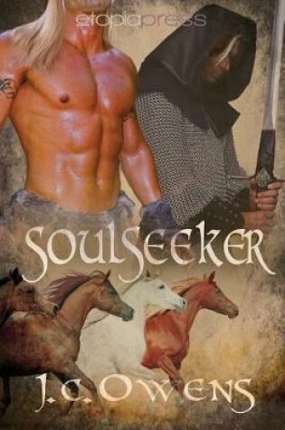 Cover of Soulseeker