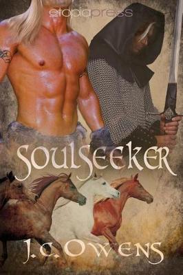 Book cover for Soulseeker