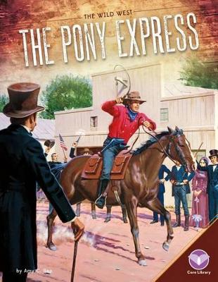 Book cover for Pony Express