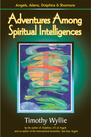 Cover of Adventures Among Spiritual Intelligences