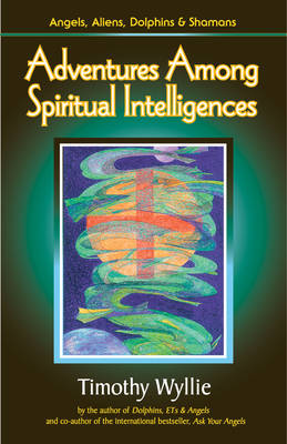 Book cover for Adventures Among Spiritual Intelligences