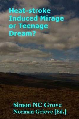 Book cover for Heat-stroke Induced Mirage or Teenage Dream?