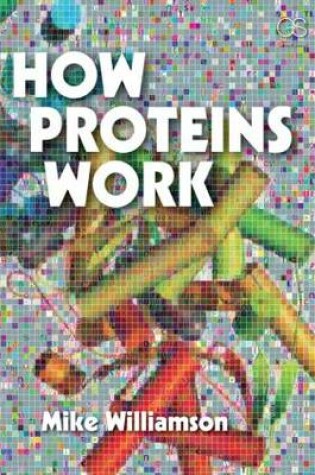 Cover of How Proteins Work