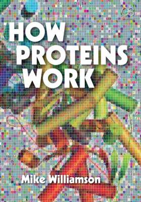 Book cover for How Proteins Work