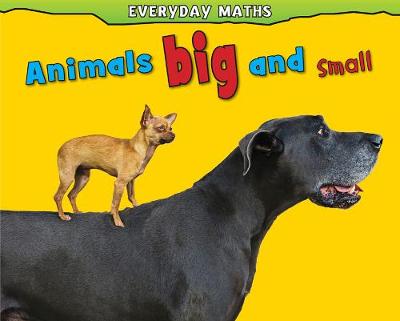 Book cover for Animals Big and Small