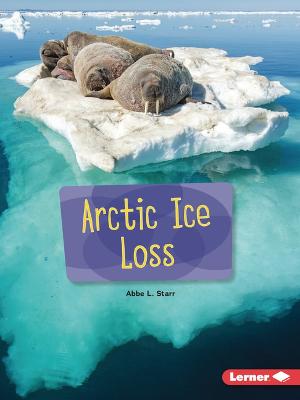 Book cover for Arctic Ice Loss