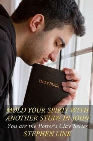 Cover of Mold Your Spirit with Another Study in John
