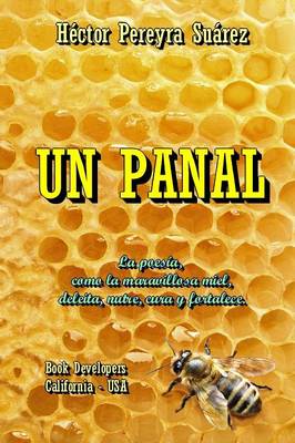 Book cover for Un Panal